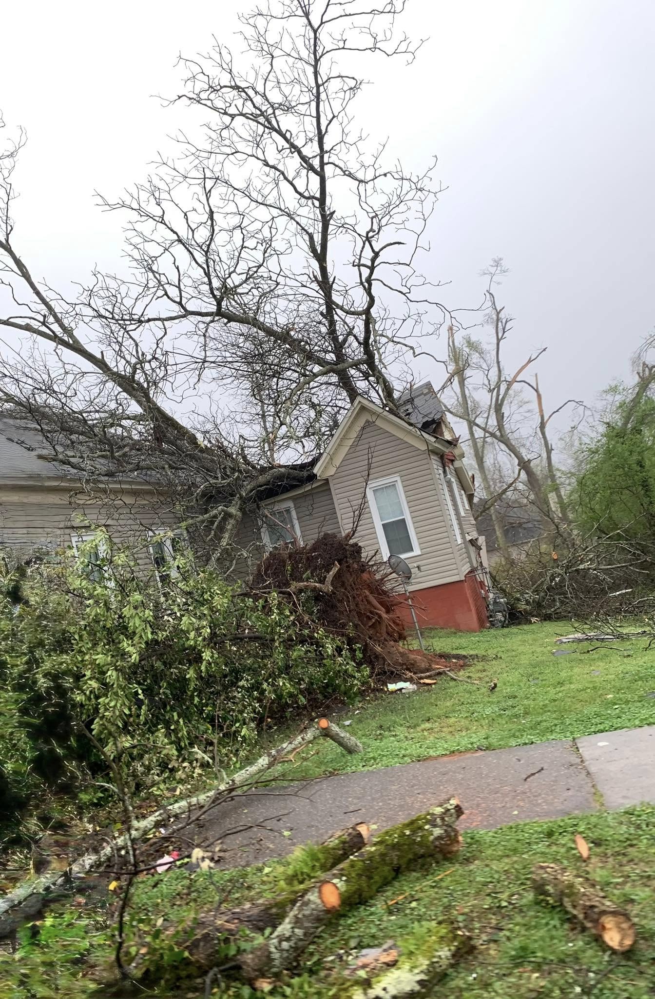 A large tree has fallen onto a house, causing visible damage to the roof and yard; debris and broken branches are scattered on the grass.